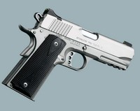 Stainless Pro TLE RL II.jpg